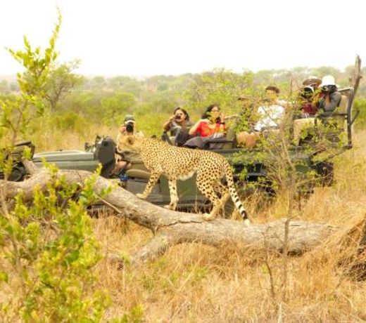 Umkumbe Safari Lodge Riverside