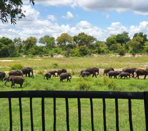 Umkumbe Safari Lodge Riverside