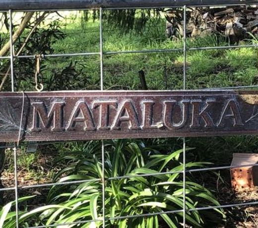 Mataluka at Fish Creek