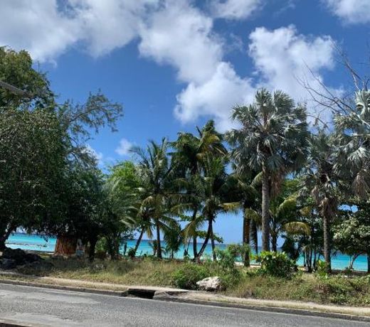 Ocean View Apartments