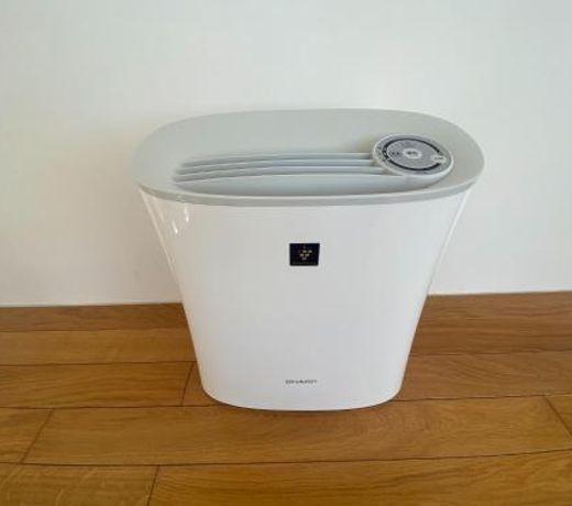 RIZOZAIZEN MOTOBU B