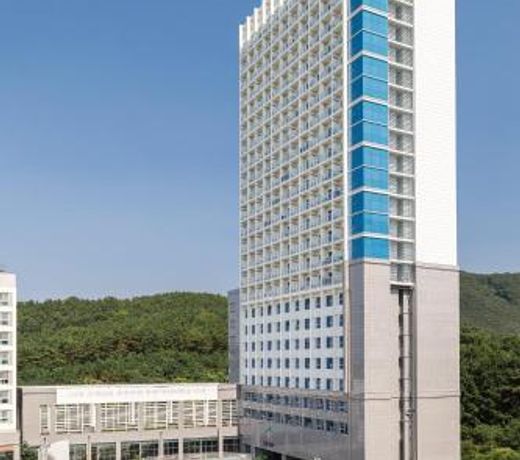 Skytop Hotel Incheon Airport