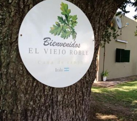 El Viejo Roble