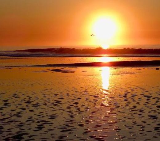 Maitenas Pinamar