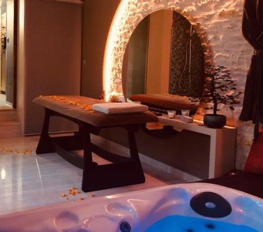 Domaine de l'Angélique - Loft avec SPA privatif - Marais poitevin entre Niort et La Rochelle