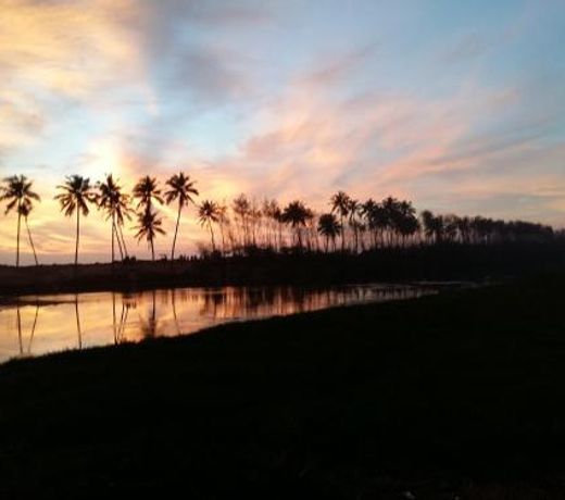 Kiaora Holidays