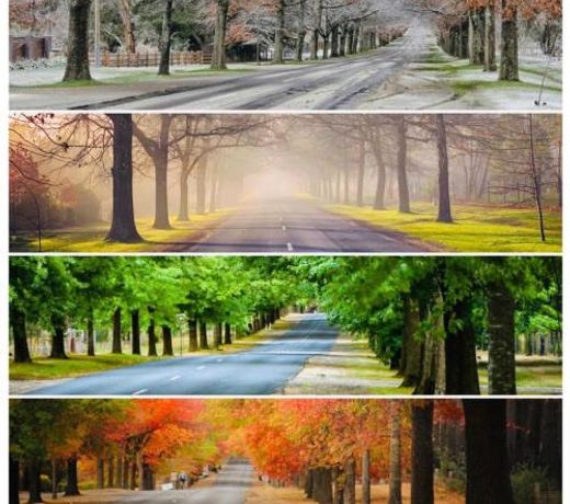 Wotama, Macedon B and B, Honour Ave, Mount Macedon