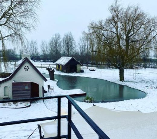 B&B Leonie