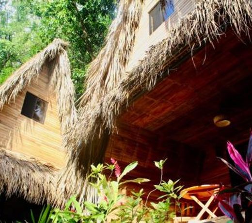 Buena Onda Bungalows