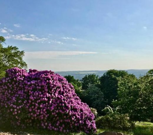 Ferienwohnung Natur und Kunst