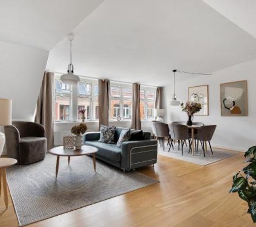 Sanders Leaves - Precious Two-Bedroom Penthouse In Downtown Copenhagen