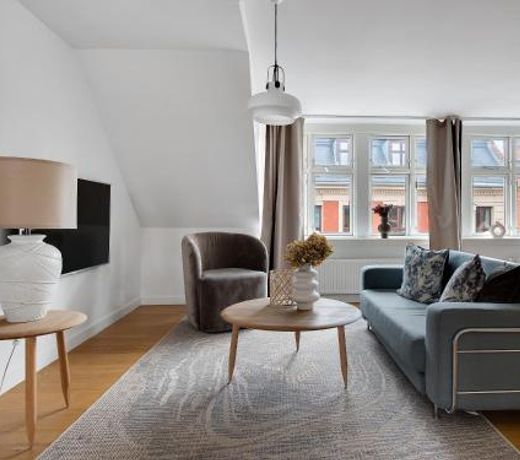 Sanders Leaves - Precious Two-Bedroom Penthouse In Downtown Copenhagen