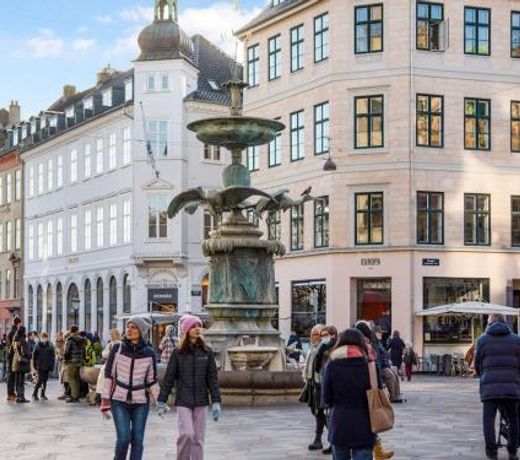Sanders Leaves - Chic Three-Bedroom Apartment In Downtown Copenhagen
