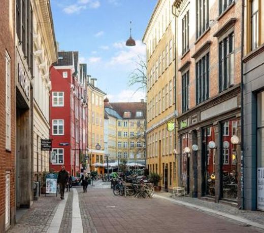 Sanders Leaves - Chic Three-Bedroom Apartment In Downtown Copenhagen