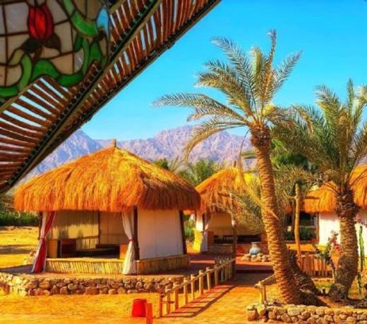 Syn Beach Club