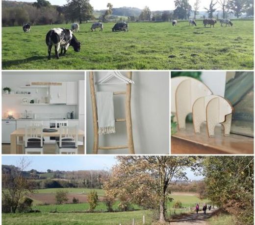 Kanne: charming house between nature and shopping