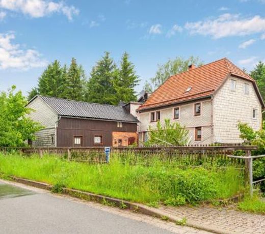 Spacious Apartment in Benneckenstein with Garden Barbeque