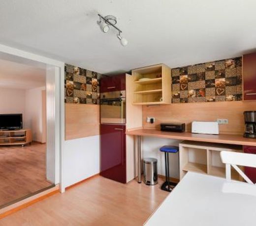 Spacious Apartment in Benneckenstein with Garden Barbeque