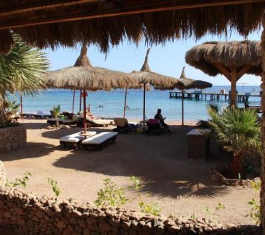 Sunshine Divers Club - Il Porto
