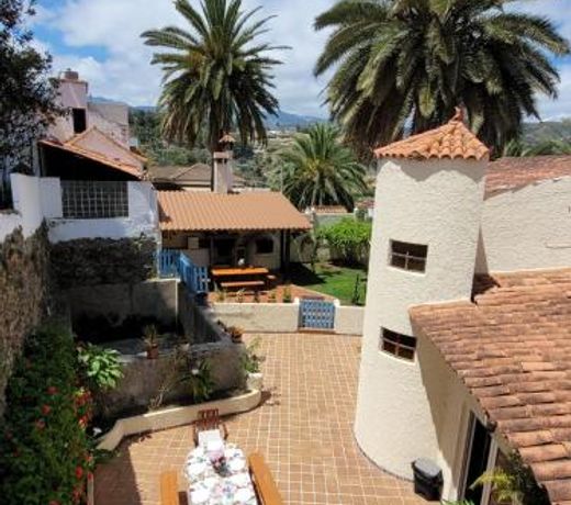 CastaÃ±o Bajo - Santa Brigida