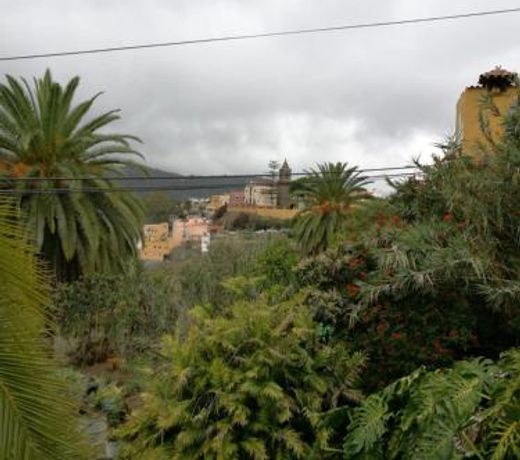 CastaÃ±o Bajo - Santa Brigida