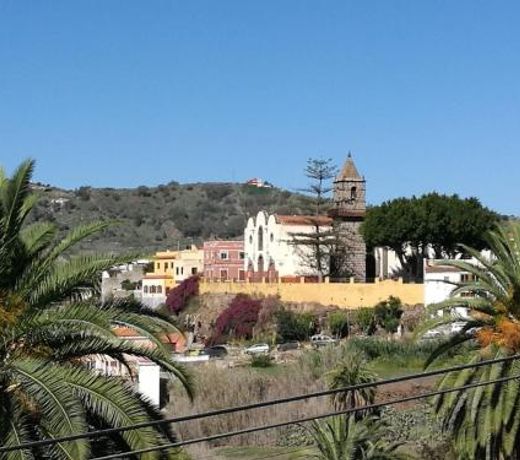 CastaÃ±o Bajo - Santa Brigida