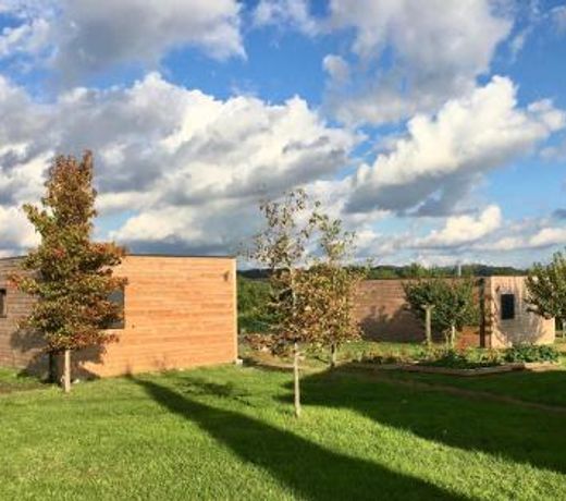 DOMAINE D'ELUSA
