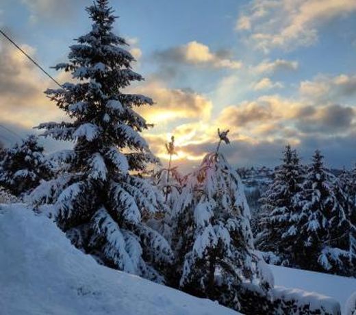 Le chalet de Rothenbuhl