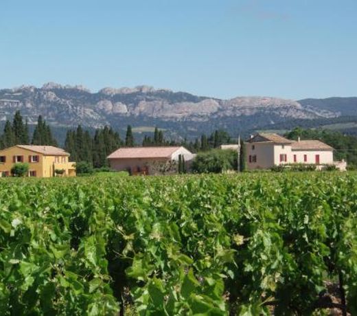 GÃ®te Les Vignes