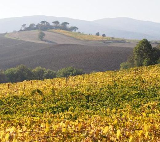 Agriturismo Poggiarellino - Montalcino