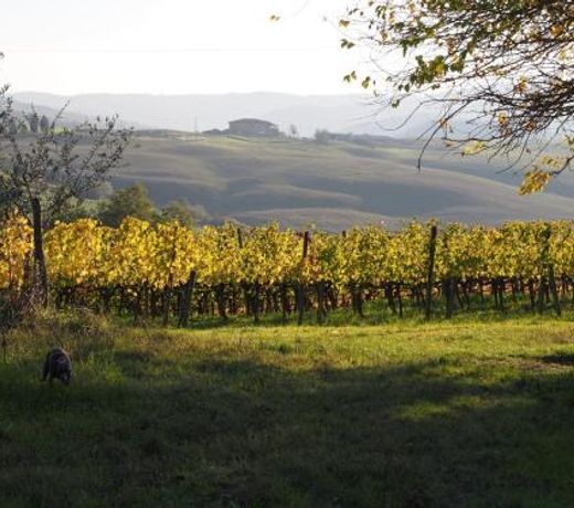 Agriturismo Poggiarellino - Montalcino