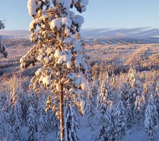 Mysig lÃ¤genhet med fjÃ¤llutsikt i SÃ¤len
