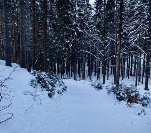 Apartmány Panorama Harrachov