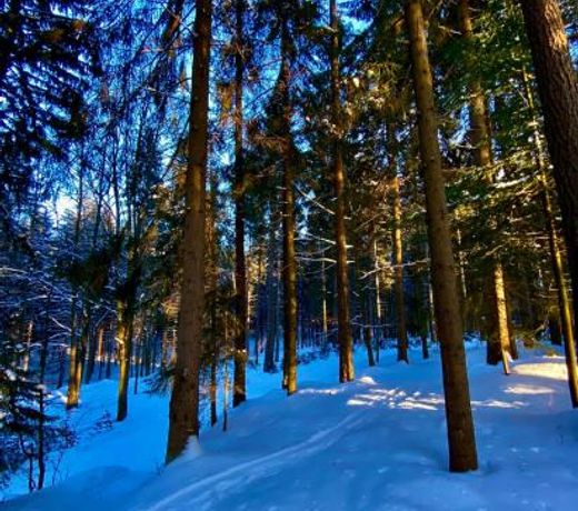 Apartmány Panorama Harrachov