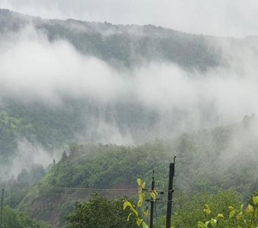 Kokan Safari, Chiveli
