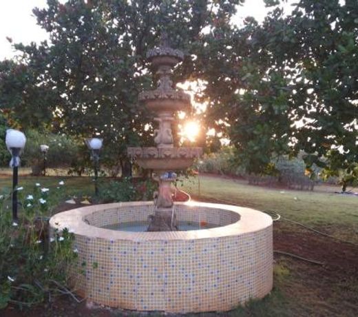 Kokan Safari, Chiveli