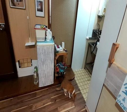 TOMI in Shimoda