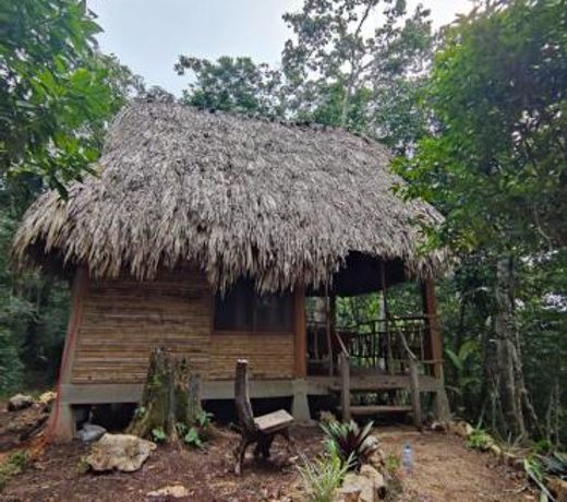 Santuario de Cocodrilo Tres Lagunas, Selva Lacandona
