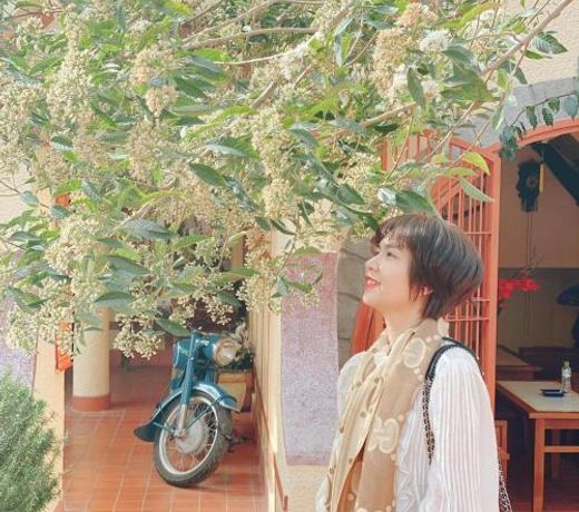 NgÃ´i LÃ ng Cá» 77 HoÃ ng Diá»u