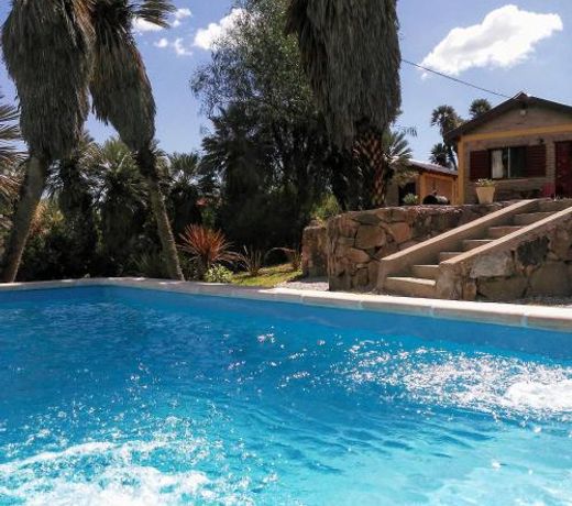 Palmares al cerro