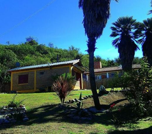 Palmares al cerro