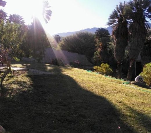 Palmares al cerro
