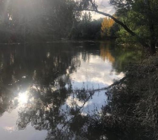The Glen Farmhouse on Ovens River