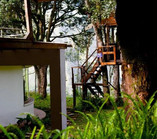 Mama Tungu hostel