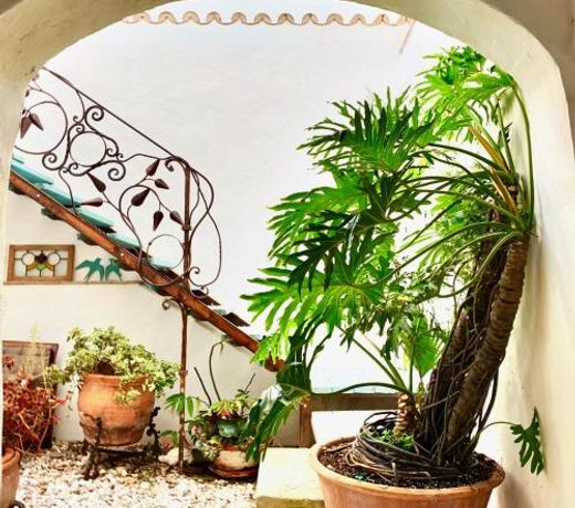 CASA DEL TEATRO Luxury Casas Vejer Debra