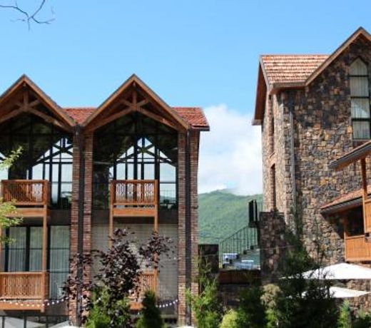 Dilijani Tun Hotel & Restaurant