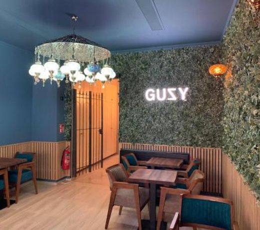 Hotel Guzy