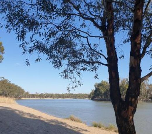 Riversands Rest Accommodation Paringa - Willow Cottage