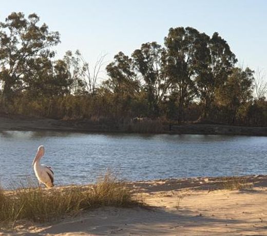 Riversands Rest Accommodation Paringa - Coobah Cottage