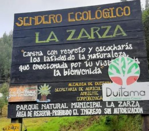 D'AntaÃ±o